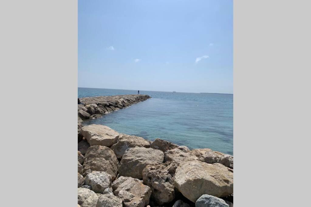 Juan Les Pins Joli T2 Parking Inclus! Apartment Antibes Exterior foto